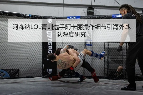阿森纳LOL青训选手阿卡丽操作细节引海外战队深度研究 - PG
